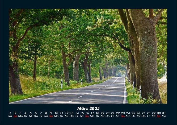 Produktbild: B&auml;ume 2025 Fotokalender DIN A4