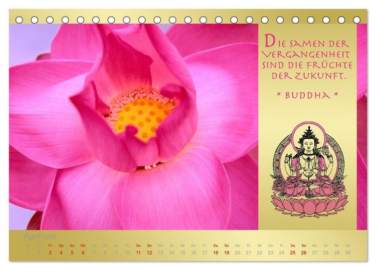 Produktbild: BUDDHA IM GL&Uuml;CK - Buddhistische Weisheiten (Tischkalender 2026 DIN A5 quer), CALVENDO Monatskalender