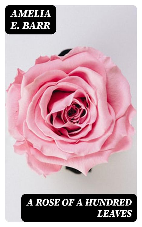 Produktbild: A Rose of a Hundred Leaves