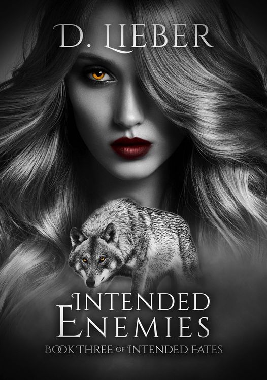 Produktbild: Intended Enemies
