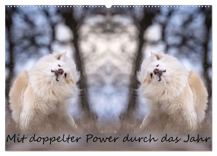 Produktbild: Mit doppelter Power durch das Jahr (Wandkalender 2026 DIN A2 quer), CALVENDO Monatskalender