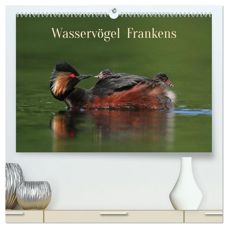 Produktbild: Wasserv&ouml;gel Frankens (hochwertiger Premium Wandkalender 2026 DIN A2 quer), Kunstdruck in Hochglanz