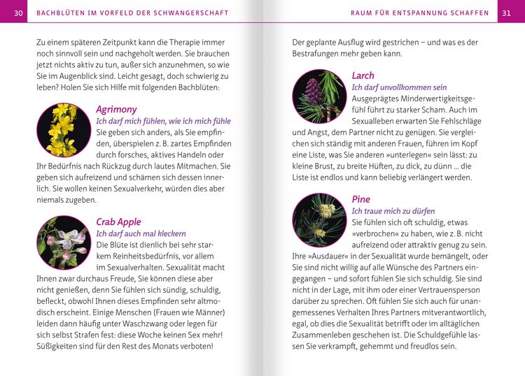 Produktbild: Bachbl&uuml;ten in Schwangerschaft,Geburt und Stillzeit. Kompakt-Ratgeber