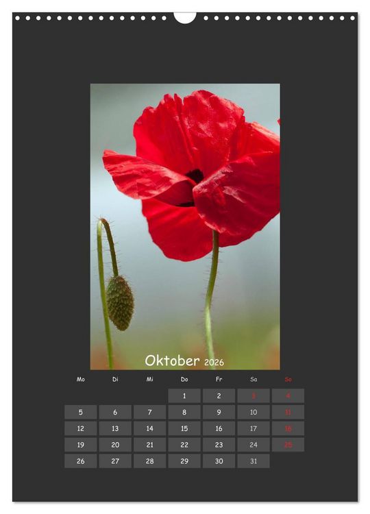 Produktbild: Mohn (Wandkalender 2026 DIN A3 hoch), CALVENDO Monatskalender