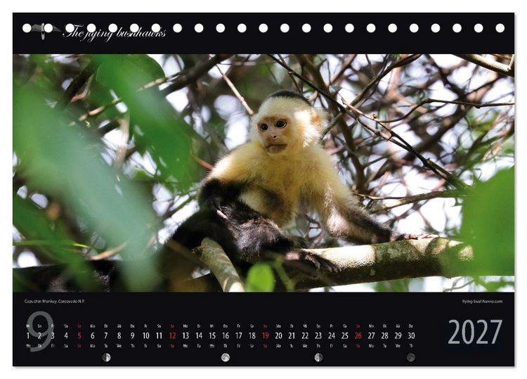 Produktbild: Costa Rica Blickwinkel 2027 (Tischkalender 2027 DIN A5 quer), CALVENDO Monatskalender