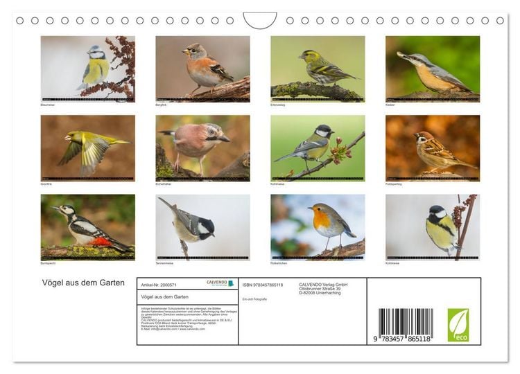 Produktbild: V&ouml;gel aus dem Garten (Wandkalender 2026 DIN A4 quer), CALVENDO Monatskalender