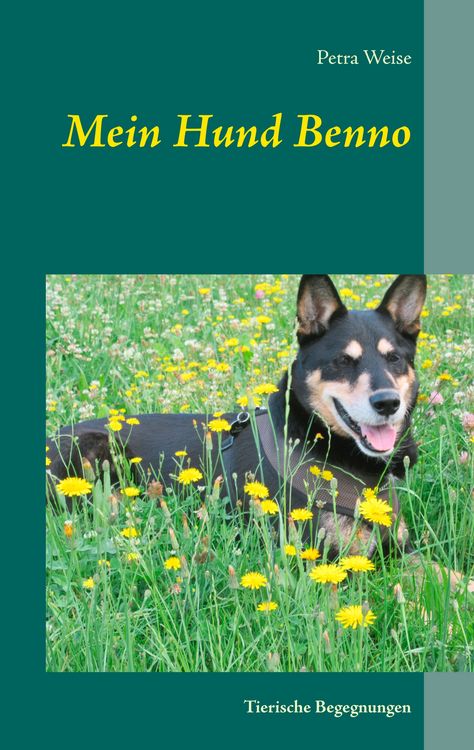 Produktbild: Mein Hund Benno
