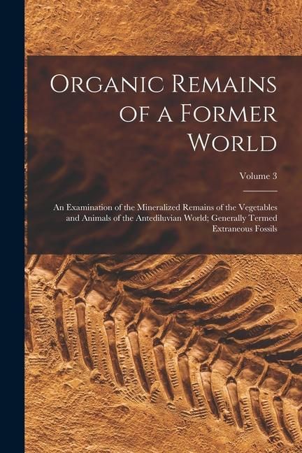 Produktbild: Organic Remains of a Former World: An Examination of the Mineralized Remains of the Vegetables and Animals of the Antediluvian World; Generally Termed