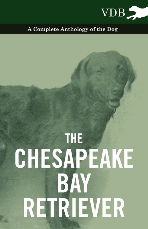 Produktbild: The Chesapeake Bay Retriever - A Complete Anthology of the Dog -