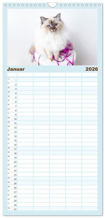 Produktbild: Familienplaner 2026 - Heilige Birma Katzen - Eine Rasse mit traumhaft blauen Augen. mit 5 Spalten (Wandkalender, 21 x 45 cm) CALVENDO
