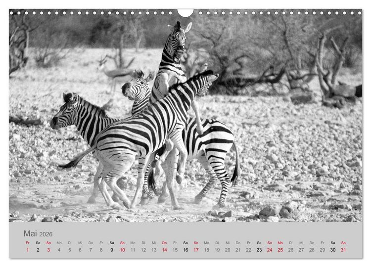 Produktbild: Die Seelen der wilden Tiere (Wandkalender 2026 DIN A3 quer), CALVENDO Monatskalender