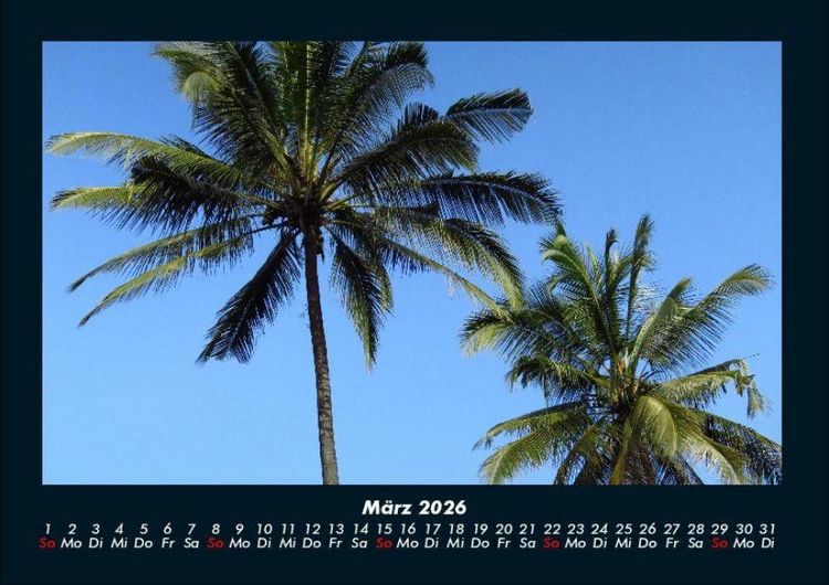 Produktbild: Palmentraum 2026 Fotokalender DIN A4