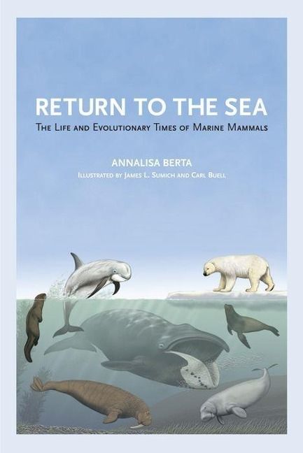 Produktbild: RETURN TO THE SEA