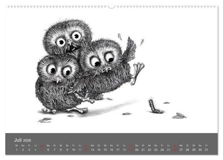 Produktbild: owls & friends 2026 (hochwertiger Premium Wandkalender 2026 DIN A2 quer), Kunstdruck in Hochglanz
