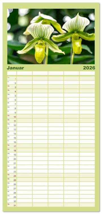 Produktbild: Familienplaner 2026 - Orchidaceae - Orchideen mit 5 Spalten (Wandkalender, 21 x 45 cm) CALVENDO
