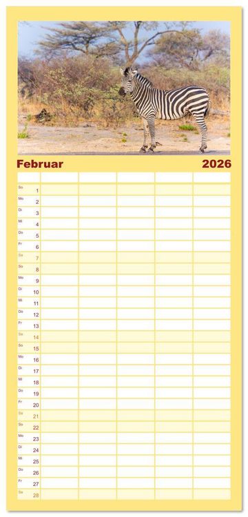 Produktbild: Familienplaner 2026 - Zebras in Afrika mit 5 Spalten (Wandkalender, 21 x 45 cm) CALVENDO