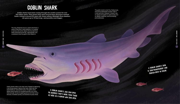 Produktbild: Beasts from the Deep