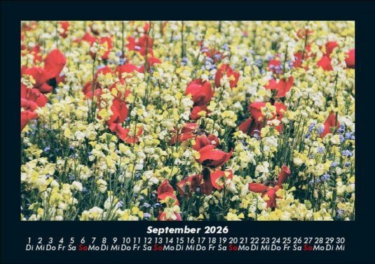 Produktbild: Blumentr&auml;ume 2026 Fotokalender DIN A5