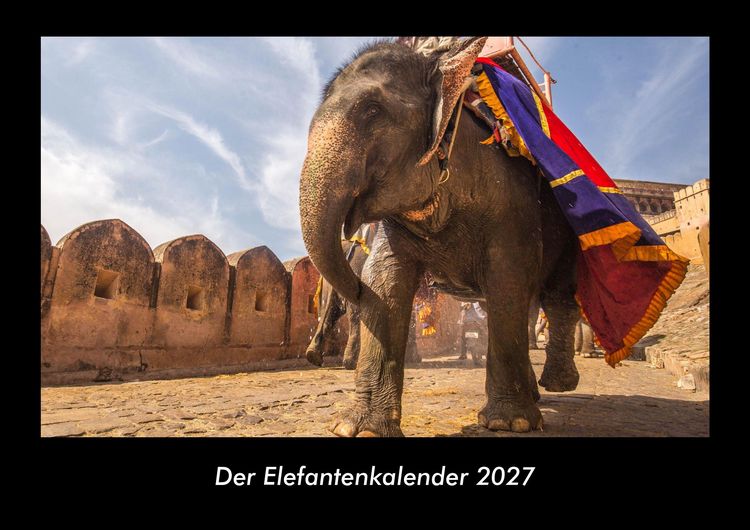 Produktbild: Der Elefantenkalender 2027 Fotokalender DIN A3