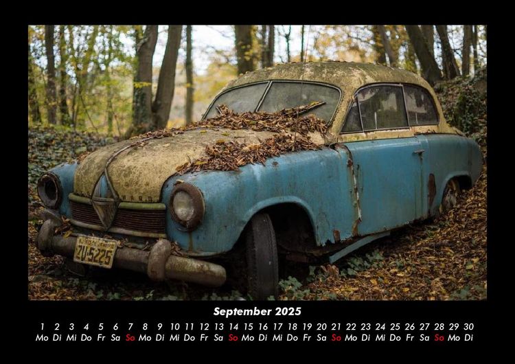 Produktbild: Waldzauber 2025 Fotokalender DIN A3