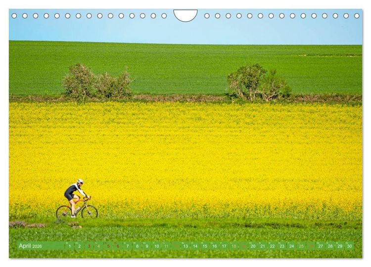 Produktbild: Sonne in den Speichen - Faszination Rennrad (Wandkalender 2026 DIN A4 quer), CALVENDO Monatskalender