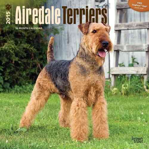 Produktbild: Airedale Terriers 2015 Calendar