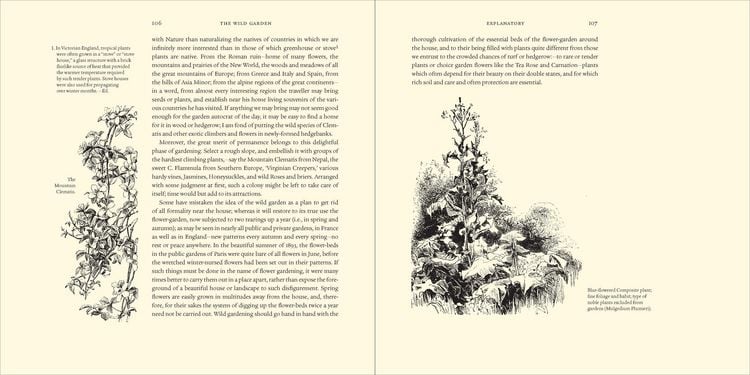 Produktbild: The Wild Garden