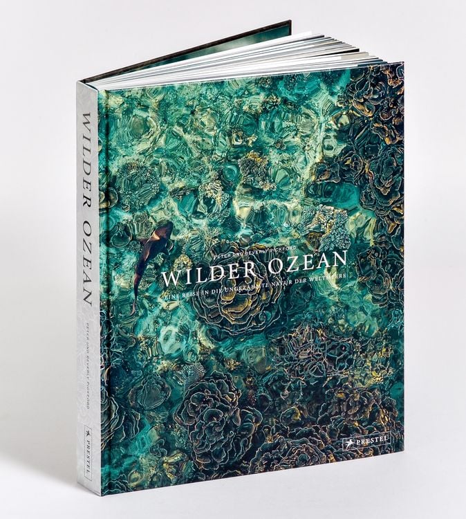 Produktbild: Wilder Ozean