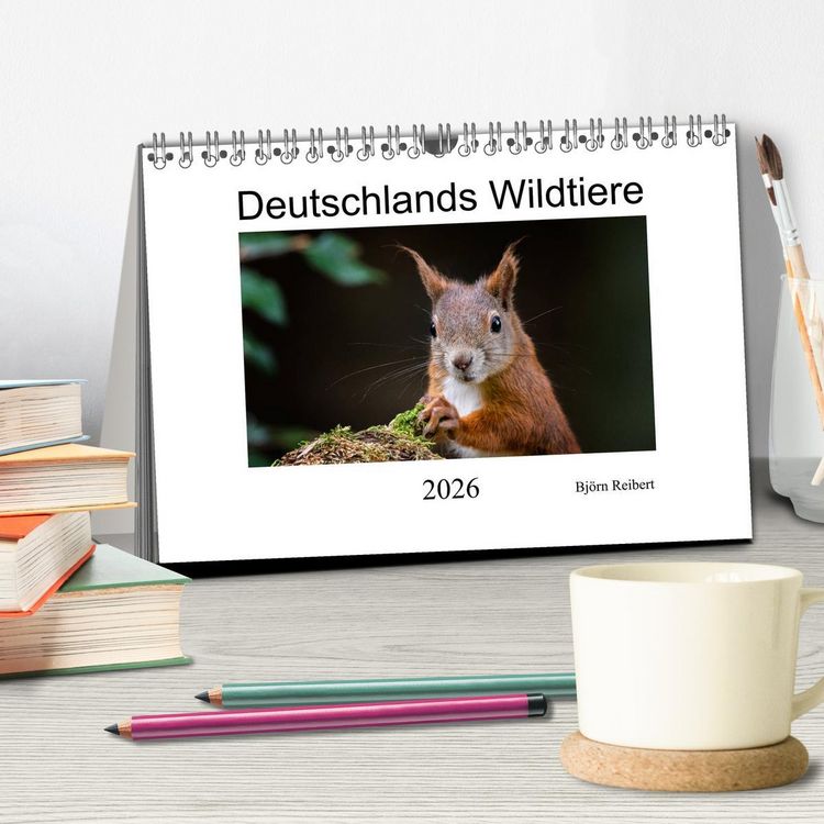 Produktbild: Deutschlands Wildtiere (Tischkalender 2026 DIN A5 quer), CALVENDO Monatskalender