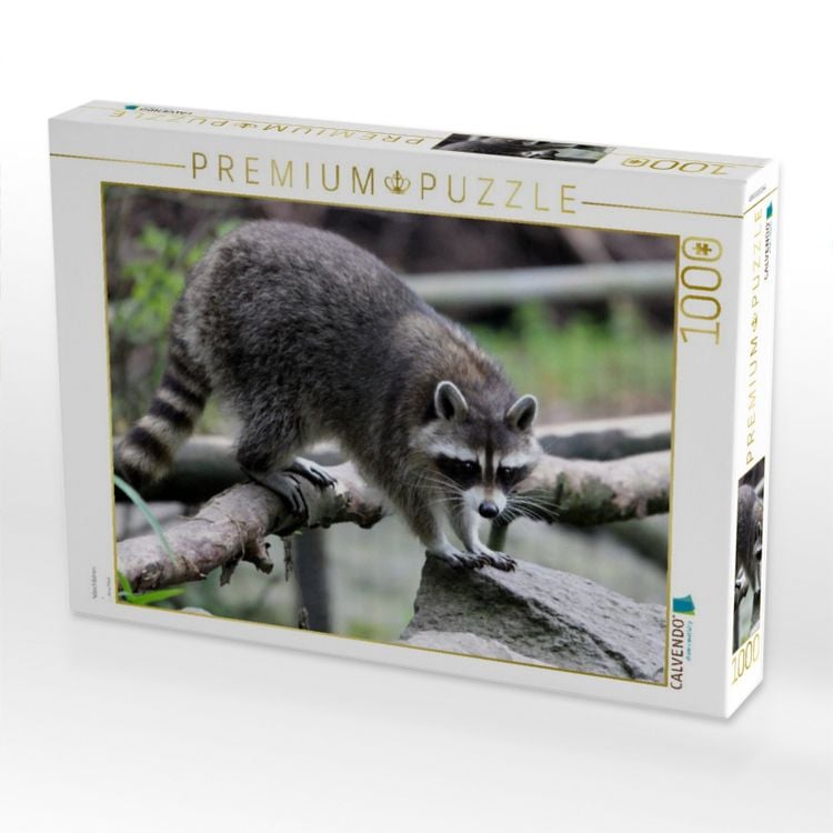 Produktbild: CALVENDO Puzzle Waschb&auml;ren | 1000 Teile Lege-Gr&ouml;&szlig;e 64x48cm Foto-Puzzle f&uuml;r gl&uuml;ckliche Stunden