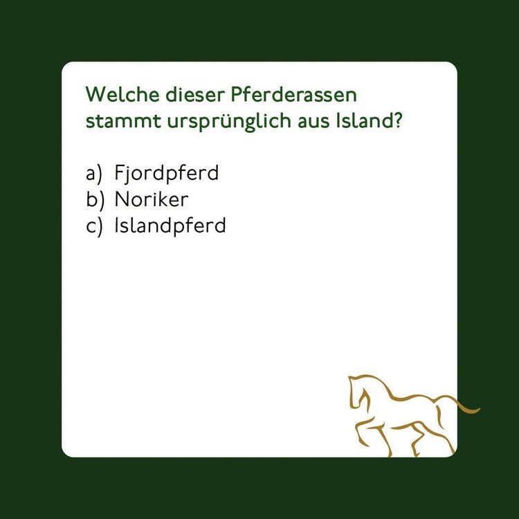 Produktbild: Pferde und Reiten - Das Quiz