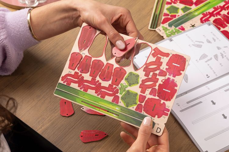 Produktbild: Revell Holzblumen Flowers Dream of Roses mit Vase & Duftring