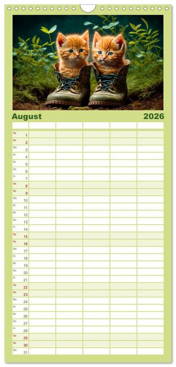 Produktbild: Familienplaner 2026 - Katzen Freunde mit 5 Spalten (Wandkalender, 21 x 45 cm) CALVENDO