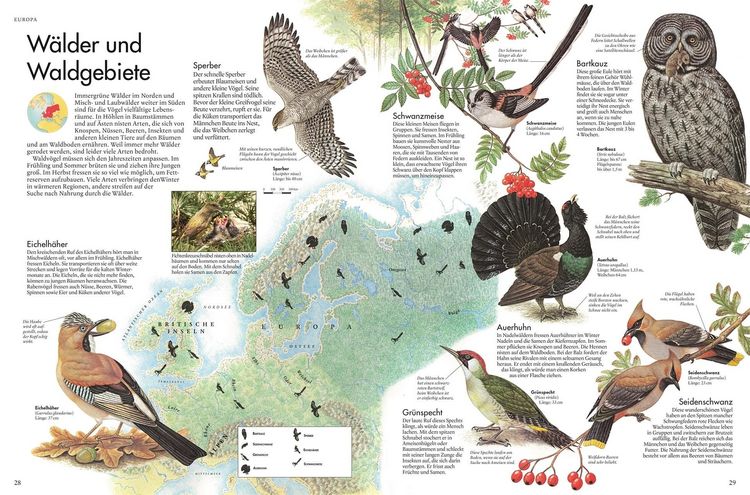 Produktbild: Atlas der V&ouml;gel