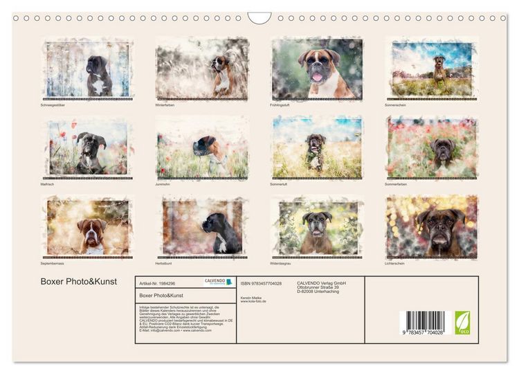 Produktbild: Boxer Photo&Kunst (Wandkalender 2026 DIN A3 quer), CALVENDO Monatskalender
