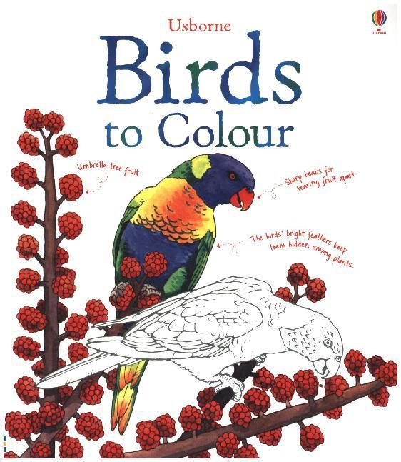 Produktbild: Cullis, M: Birds to Colour