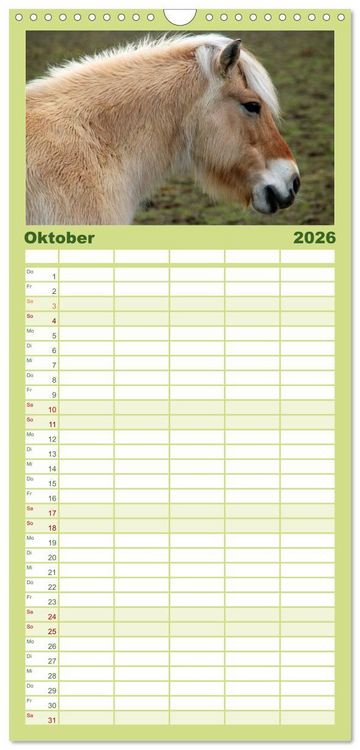 Produktbild: Familienplaner 2026 - Ponys. Herzensbrecher mit Grips mit 5 Spalten (Wandkalender, 21 x 45 cm) CALVENDO