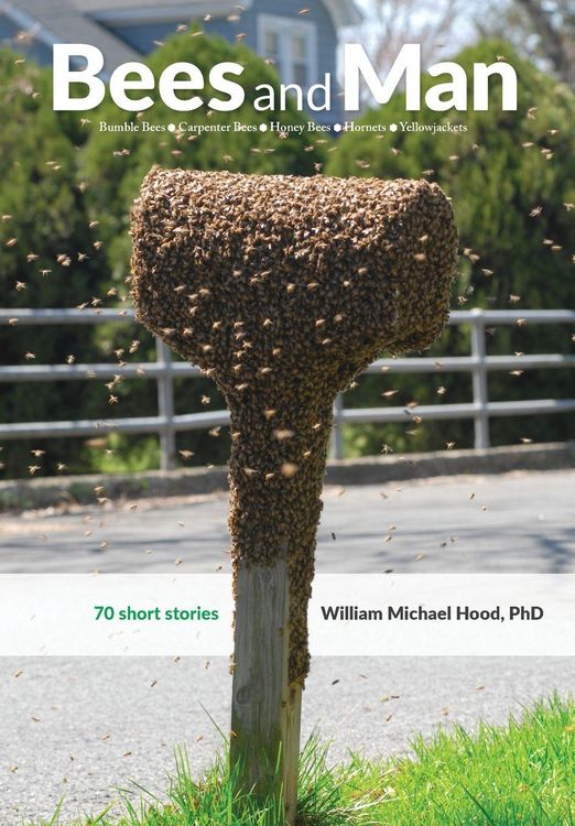 Produktbild: Bees and Man