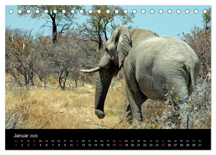 Produktbild: Afrika (Tischkalender 2026 DIN A5 quer), CALVENDO Monatskalender