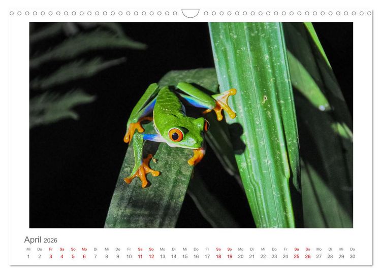 Produktbild: Costa Rica - unterwegs mit Julia Hahn (Wandkalender 2026 DIN A3 quer), CALVENDO Monatskalender