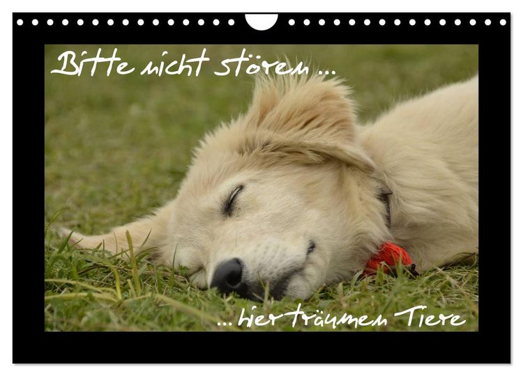 Produktbild: Bitte nicht st&ouml;ren... hier tr&auml;umen Tiere (Wandkalender 2026 DIN A4 quer), CALVENDO Monatskalender