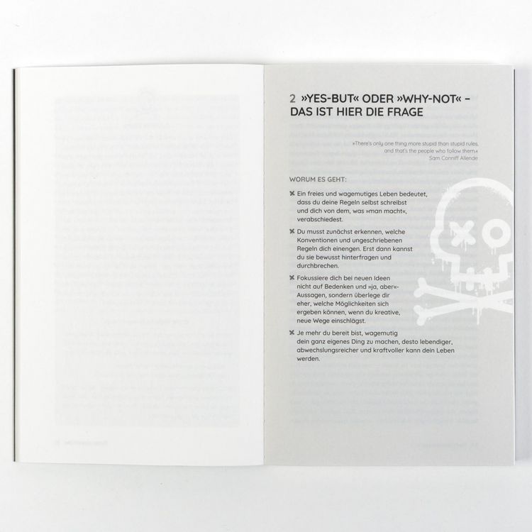 Produktbild: Die Piratenstrategie