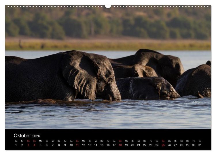 Produktbild: Elefanten - Die sanften Riesen Afrikas (hochwertiger Premium Wandkalender 2026 DIN A2 quer), Kunstdruck in Hochglanz