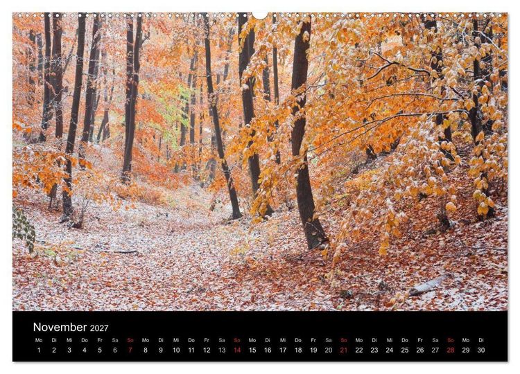 Produktbild: Landschaft im Licht (hochwertiger Premium Wandkalender 2027 DIN A2 quer), Kunstdruck in Hochglanz