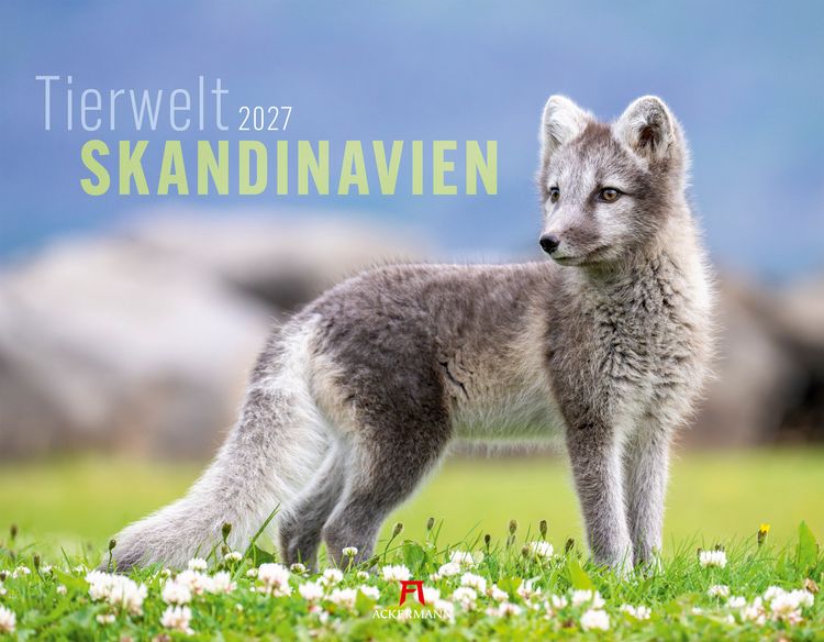 Produktbild: Tierwelt Skandinavien Kalender 2027