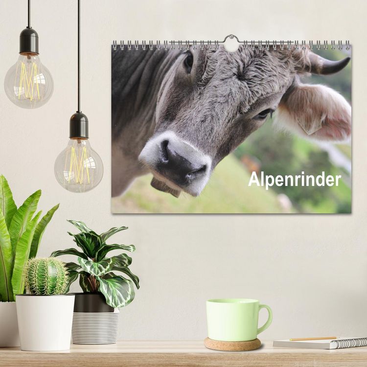 Produktbild: Alpenrinder (Wandkalender 2026 DIN A4 quer), CALVENDO Monatskalender