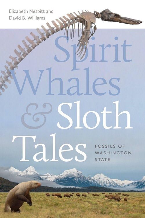 Produktbild: Spirit Whales and Sloth Tales