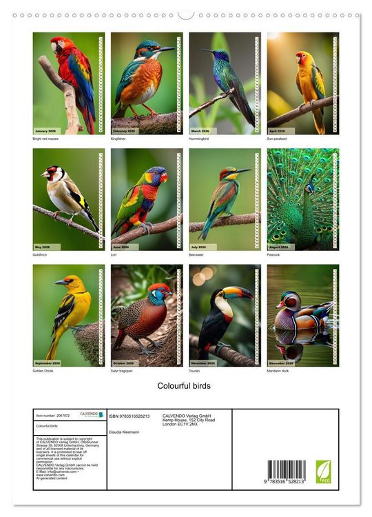 Produktbild: Colourful birds (High Quality Premium Wall Calendar 2026 DIN A2 portrait),CALVENDO 12 Month Wall Calendar