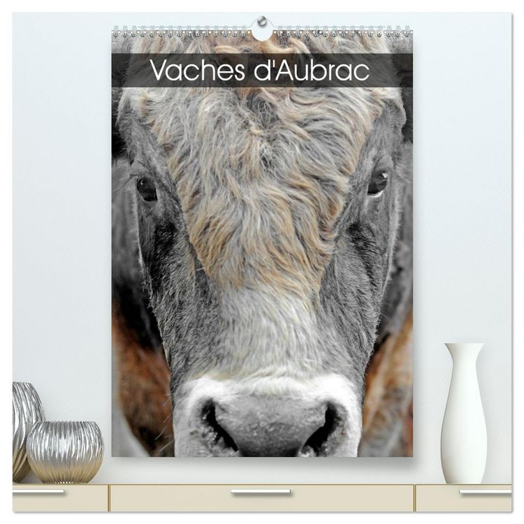 Produktbild: Vaches d'Aubrac (Calendrier mural 2026 DIN A2 horizontal) calendrier de bureau