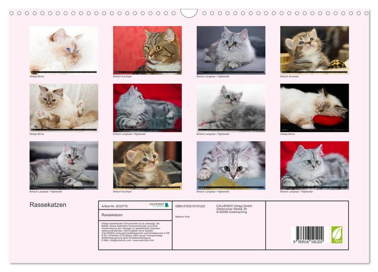 Produktbild: Rassekatzen (Wandkalender 2026 DIN A3 quer), CALVENDO Monatskalender